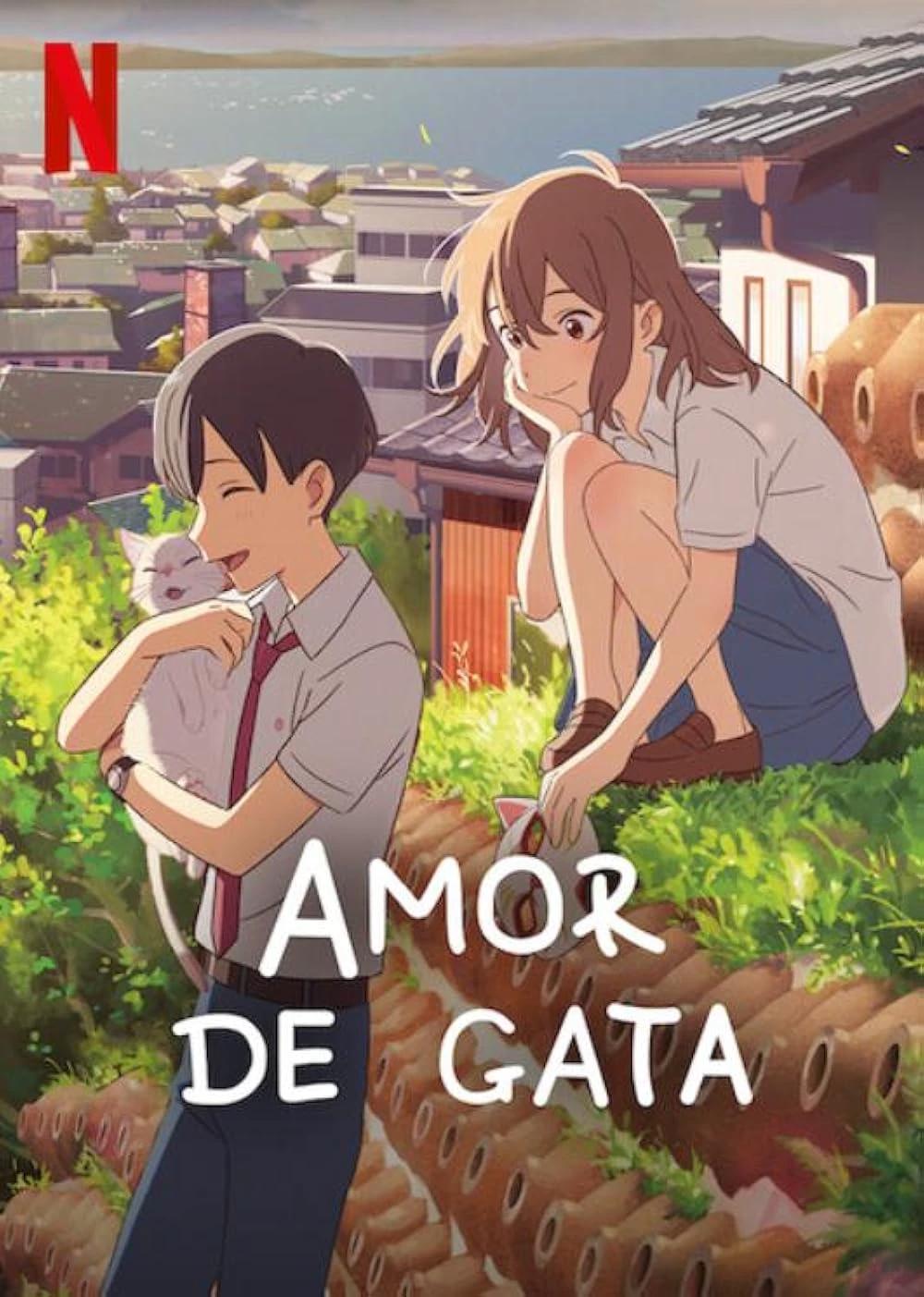 Amor de gata. thumbnail