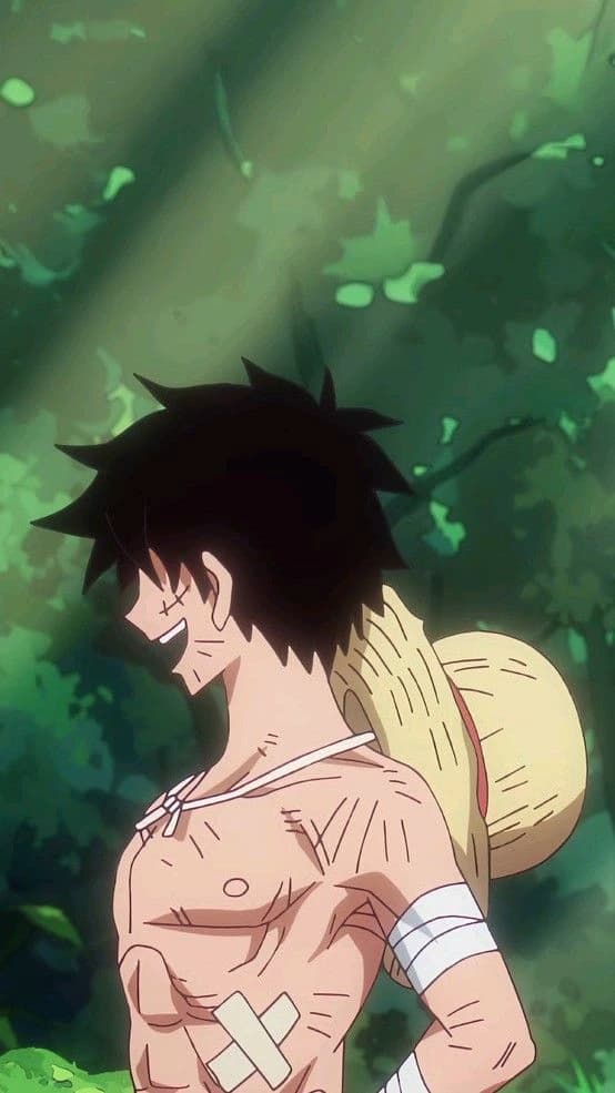 Monkey D luffy thumbnail