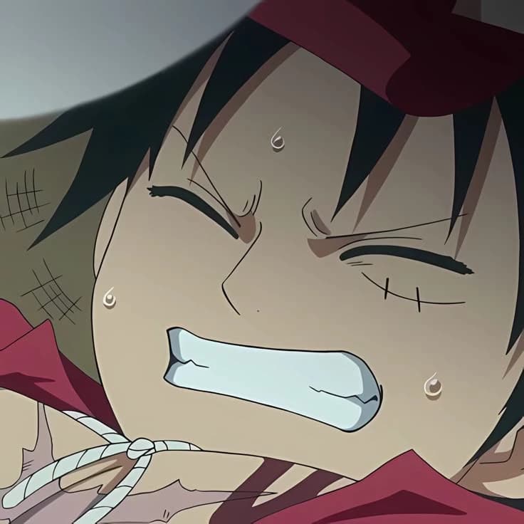 Luffy-the Mugiwaras thumbnail