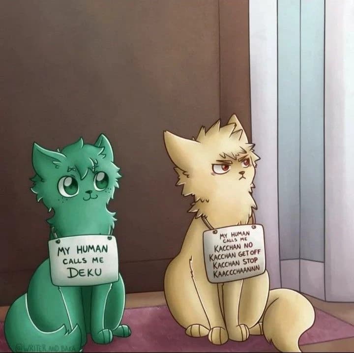 Izuku y Bakugou en gatos  thumbnail