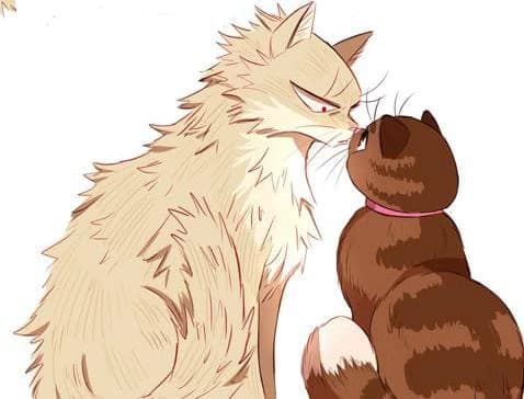 Cat Bakugo thumbnail