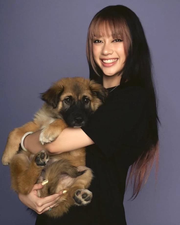 May May♡ thumbnail