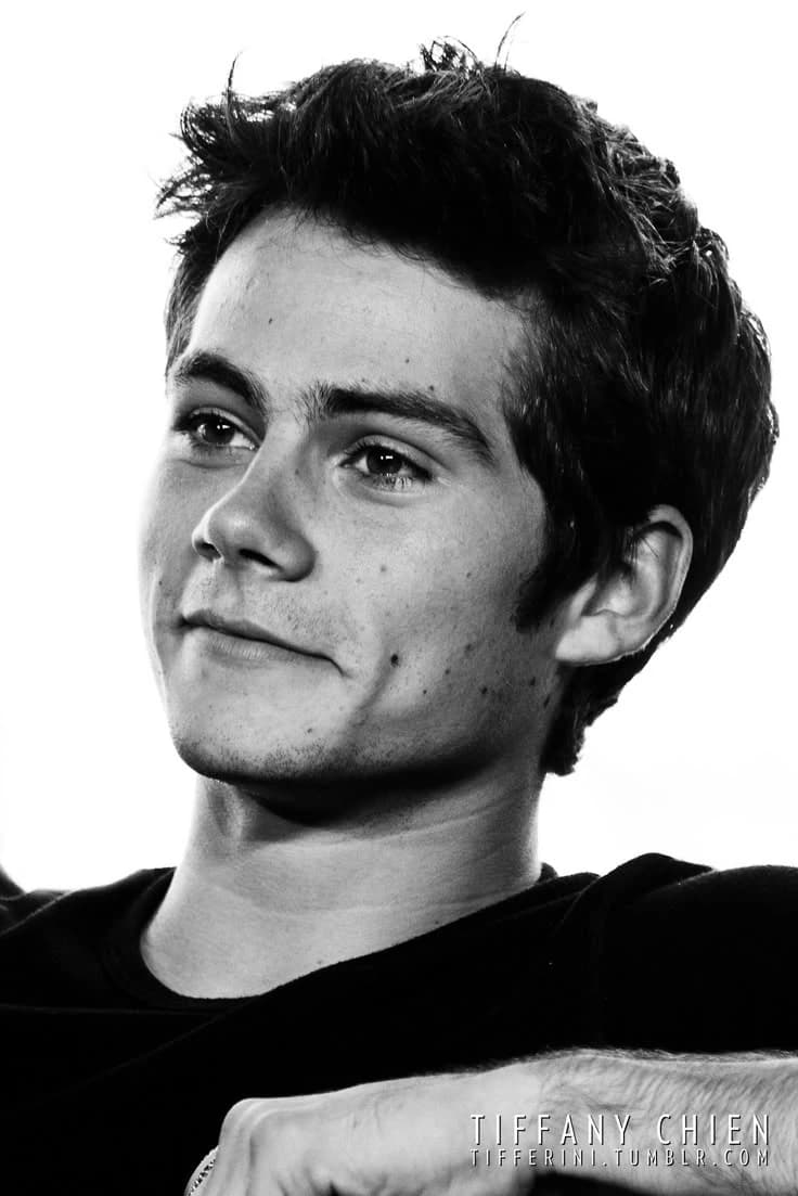 Stiles thumbnail