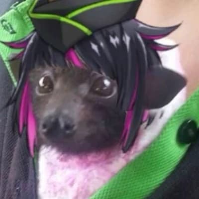 Lilia Vanrouge  thumbnail