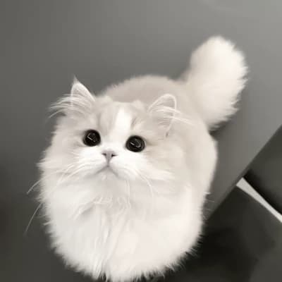 Milky thumbnail