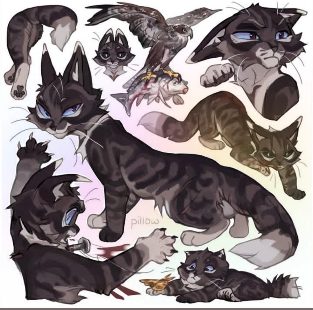 Коршун thumbnail