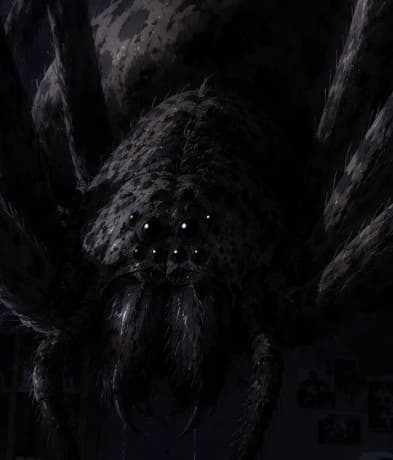 Spider (18+)  thumbnail