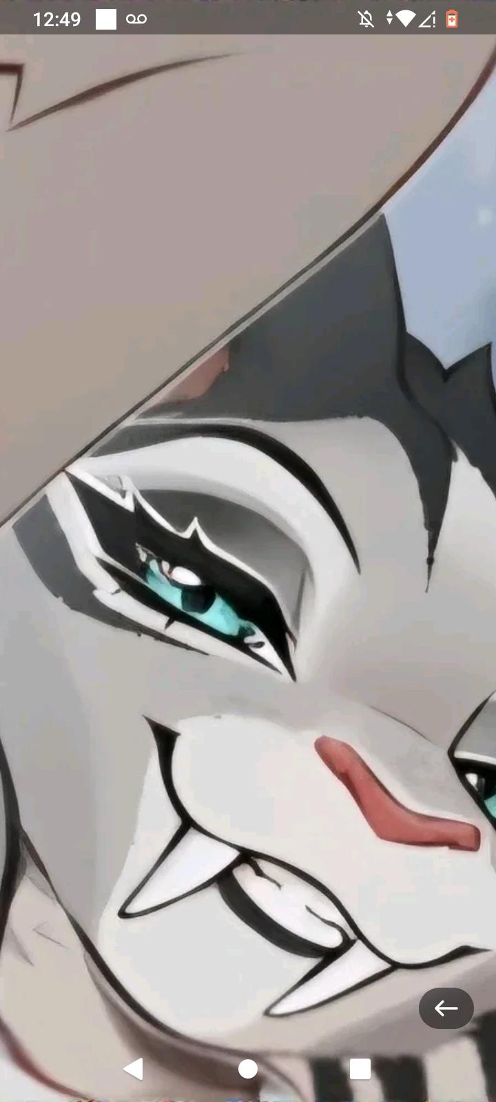 Shira thumbnail