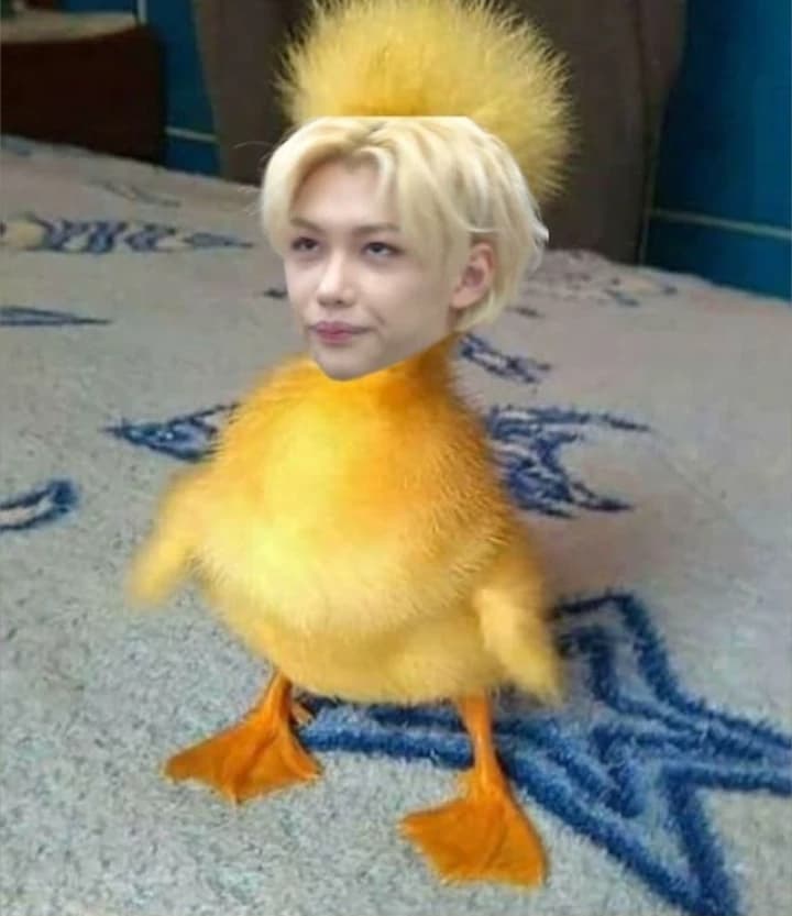 Felix thumbnail