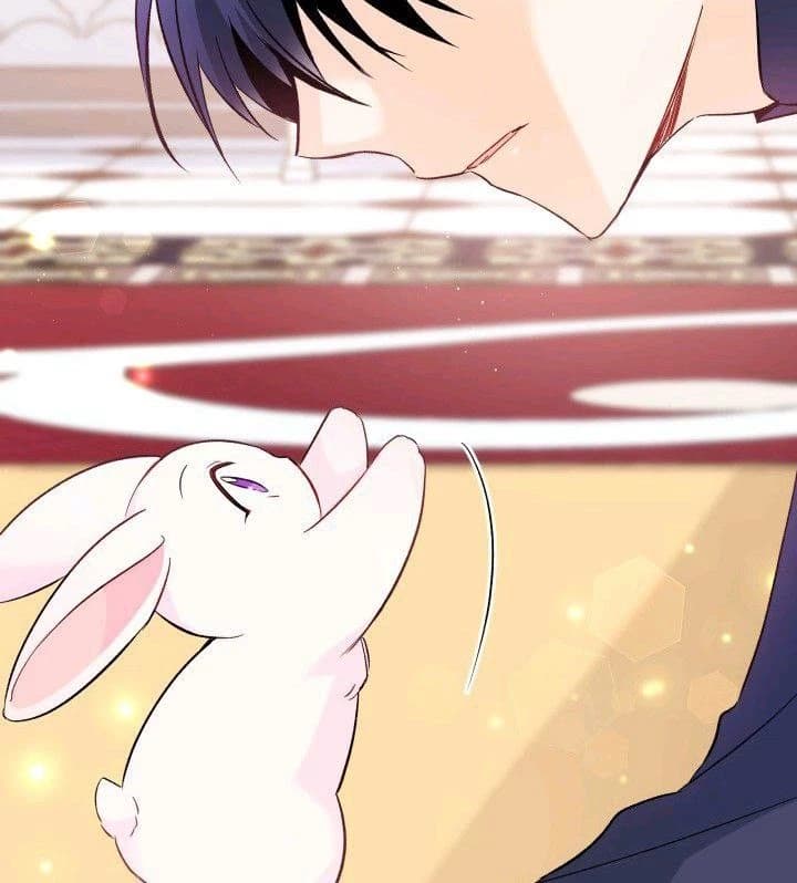 My secret bunny — 🖤🐰 thumbnail