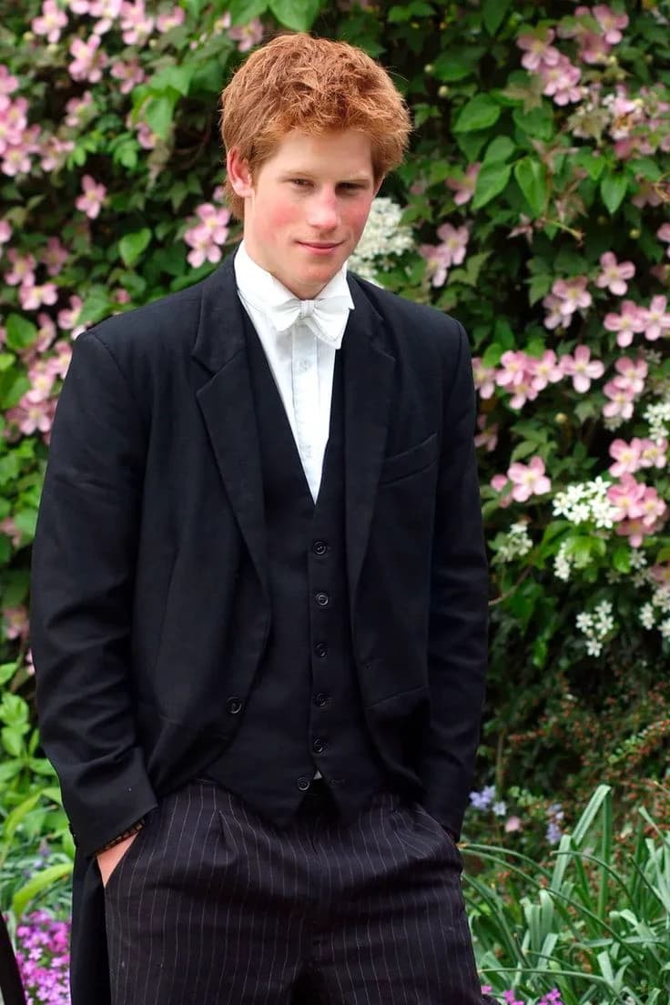 Prince Harry  thumbnail