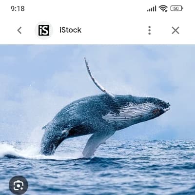 The Ancient Leviathan thumbnail