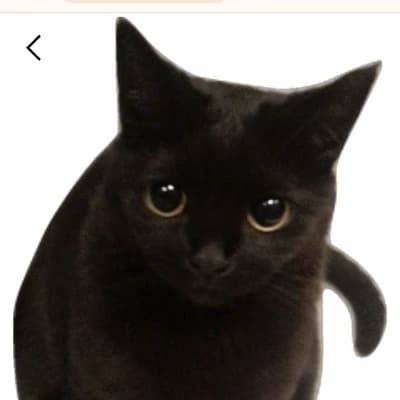 Sebastian Michaelis thumbnail