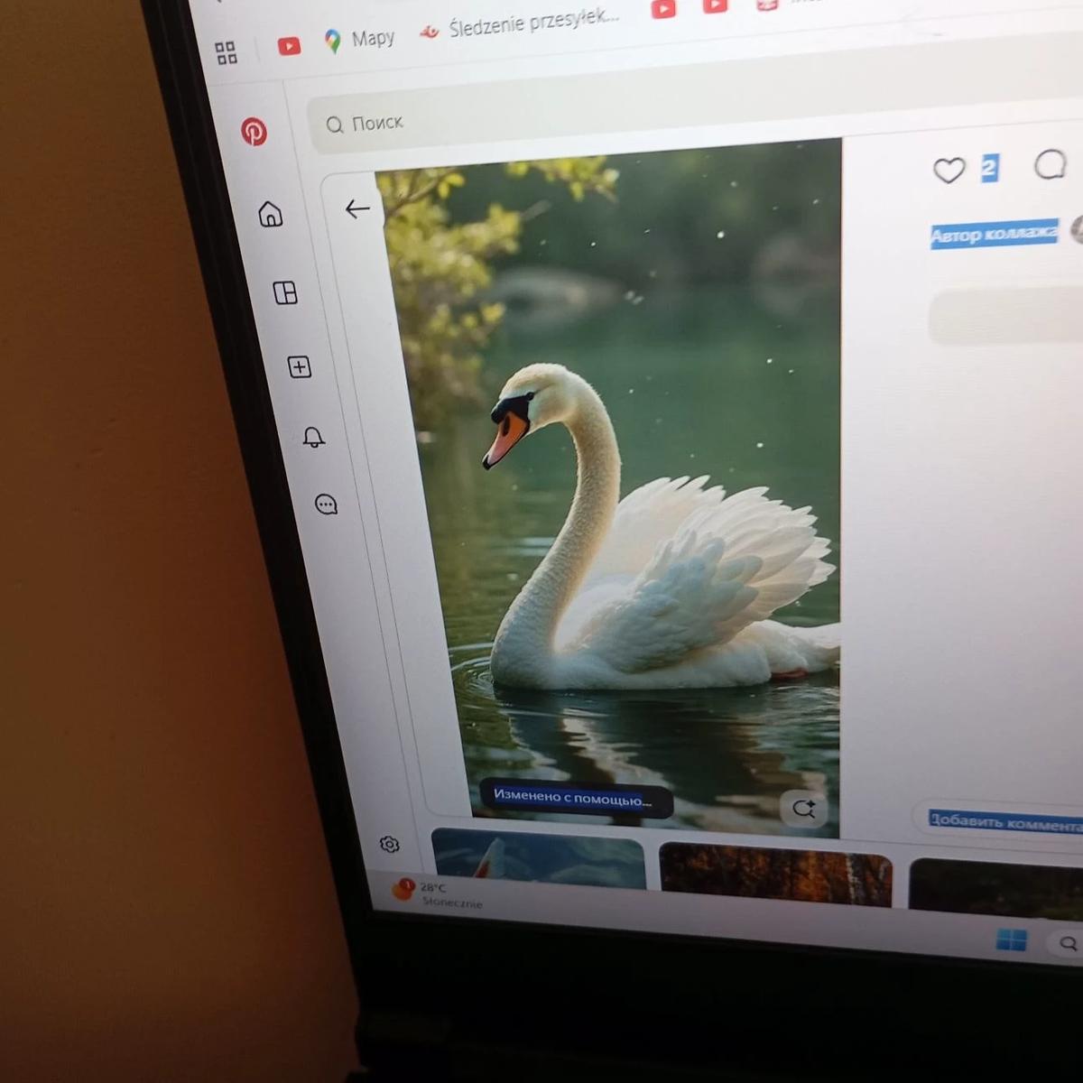 Alexander thumbnail
