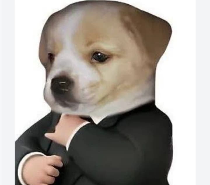 Timmy thumbnail