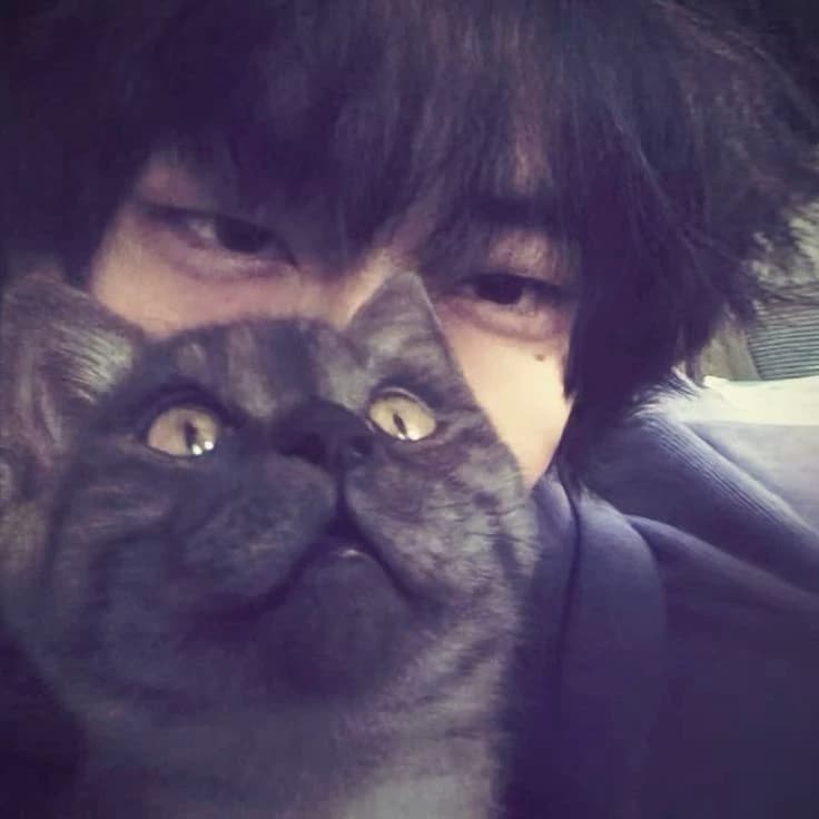 Ren thumbnail
