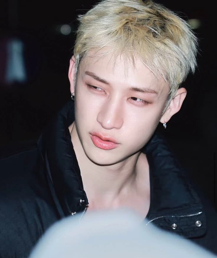Bang Chan  thumbnail