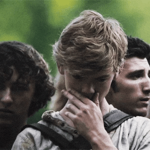 Newt TMR thumbnail