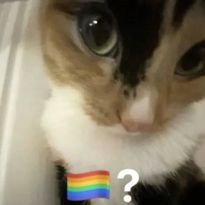 Manchitas thumbnail