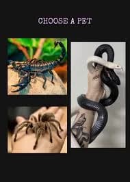 The Naga Siblings  thumbnail