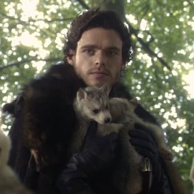 Robb Stark thumbnail