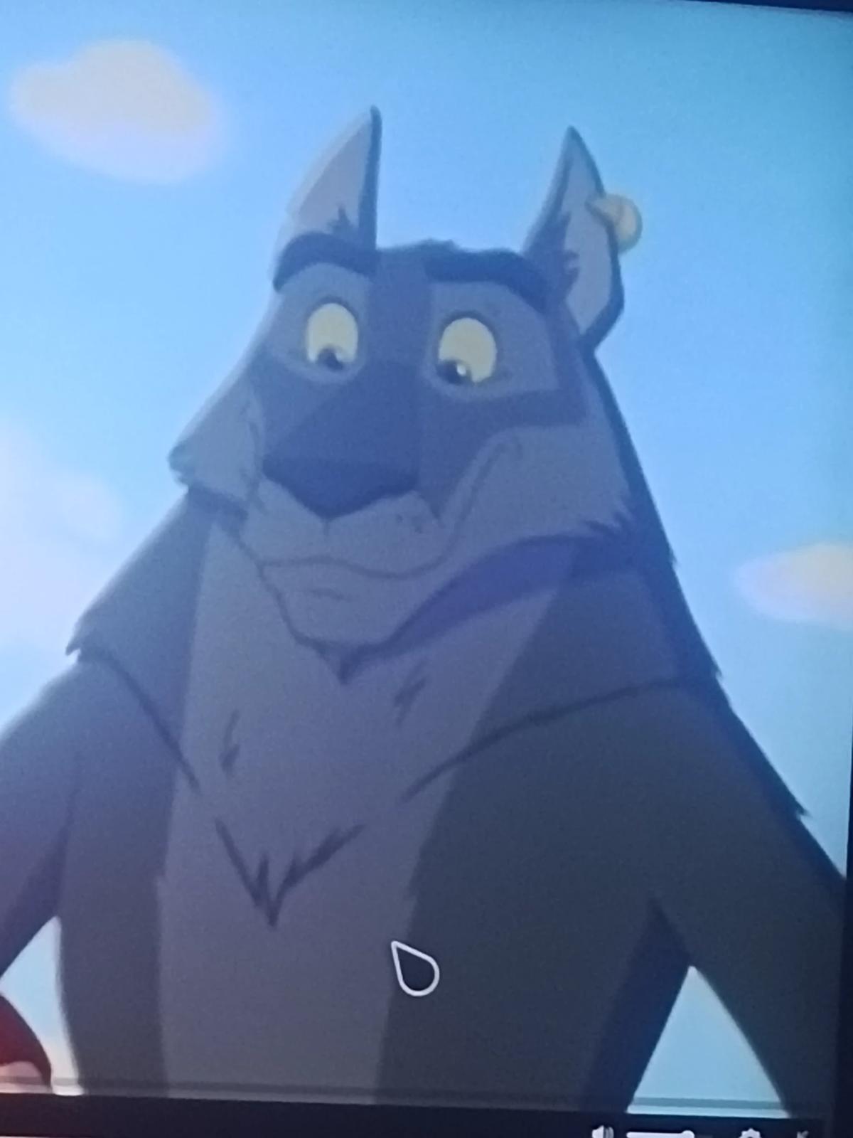 Gray wolf thumbnail