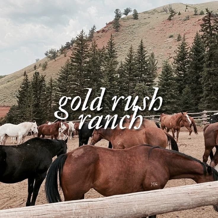 Gold rush ranch thumbnail