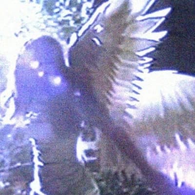 Fallen Angel  thumbnail