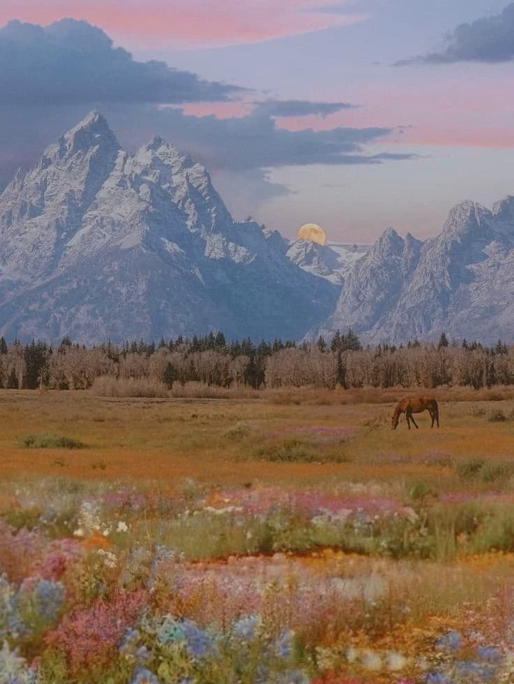 Western life thumbnail