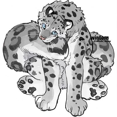 Lycaon (snow leopard x black panther) thumbnail