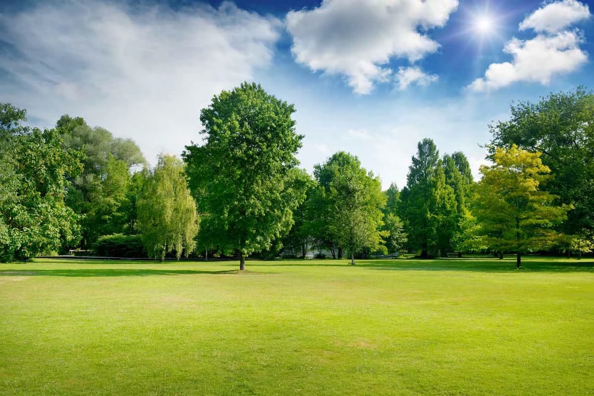 The Park thumbnail