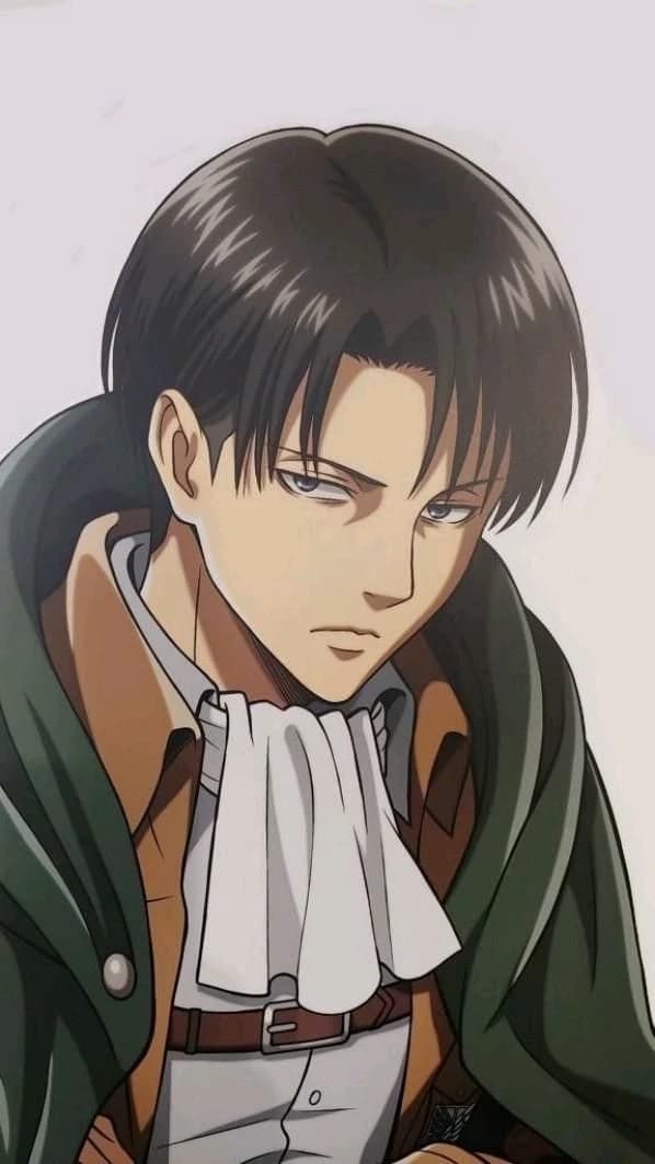 Levi Ackerman  thumbnail