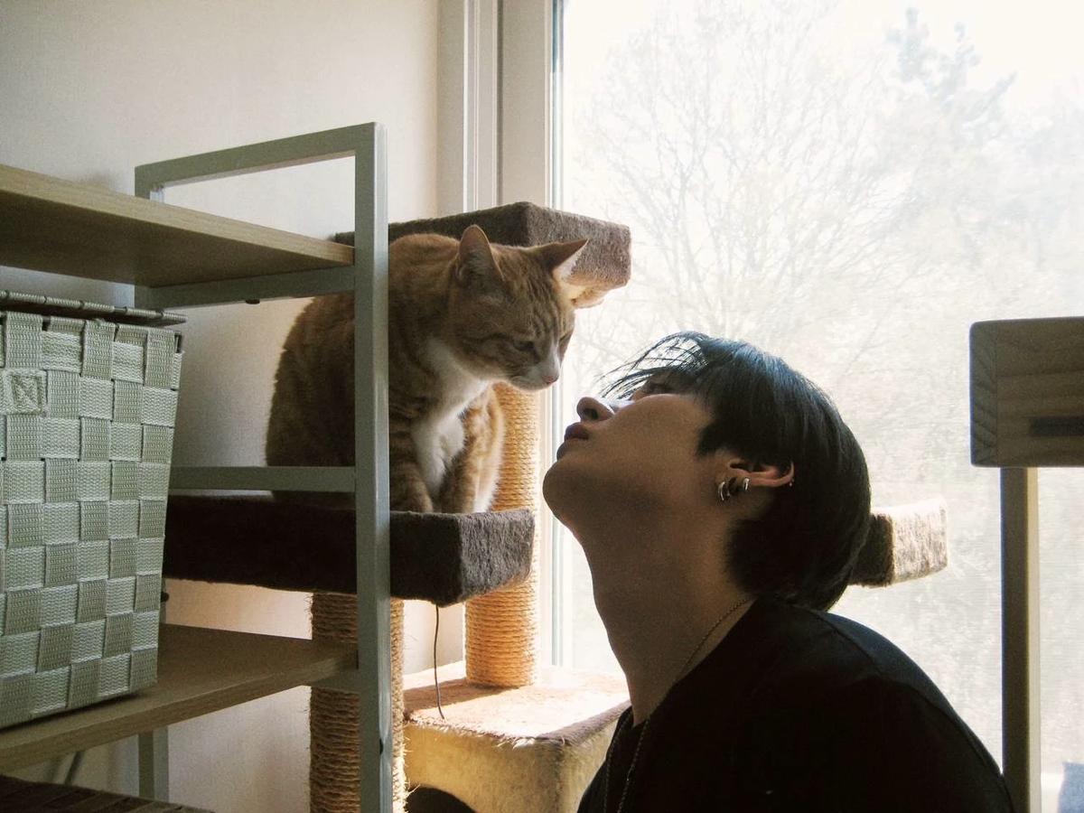 Lee Minho thumbnail