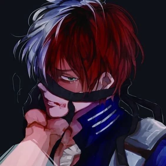 Shoto Todoroki thumbnail