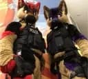 Furry police thumbnail