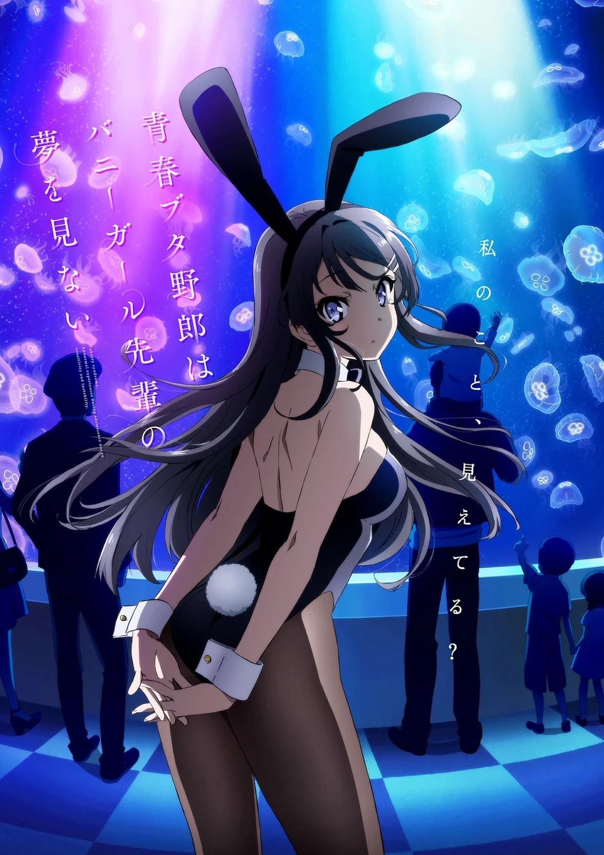 Rascal Does Not Dream of Bunny Girl Senpai thumbnail