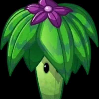 Umbrella leaf plant thumbnail