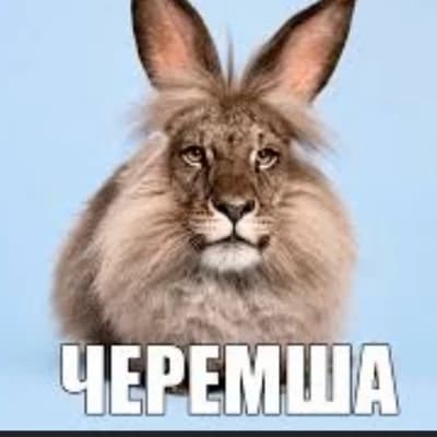 Черемша thumbnail