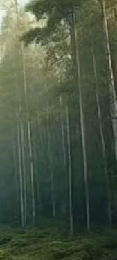 Zombie Apocalypse  thumbnail
