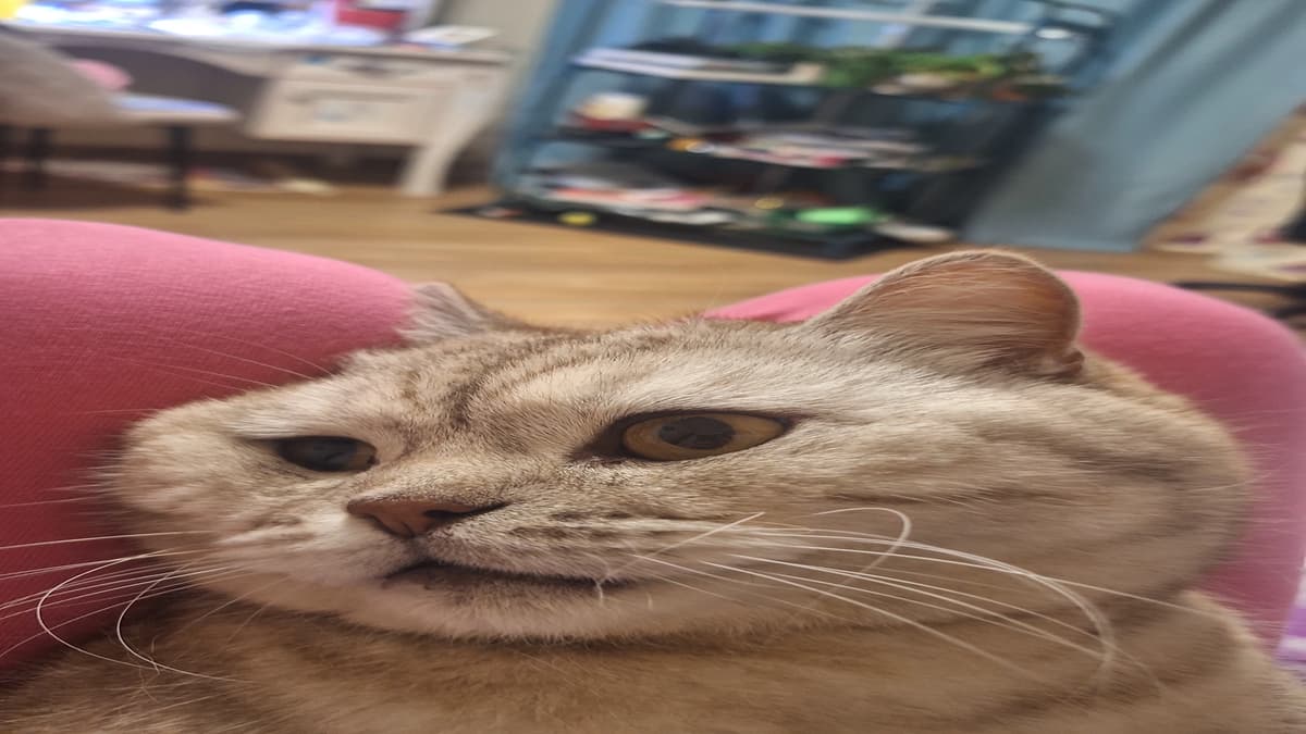 Entertainer thumbnail