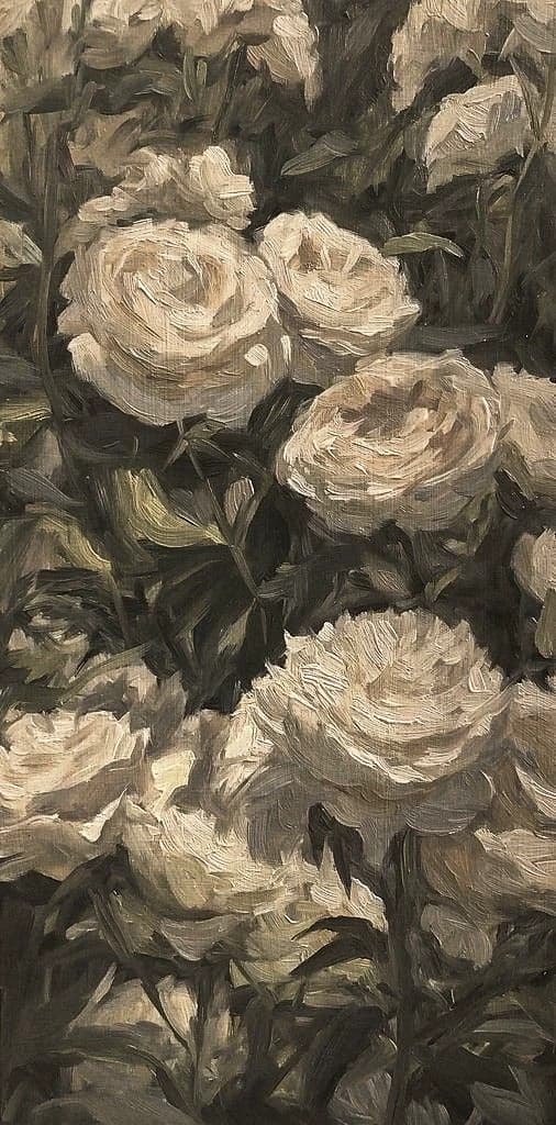 Like white roses.. thumbnail