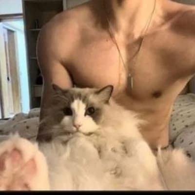 Arron (your owner)  thumbnail