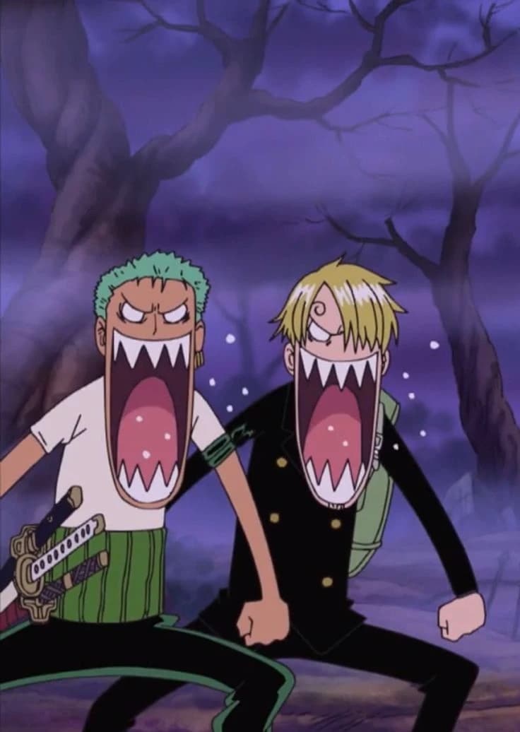Sanji and Zoro thumbnail