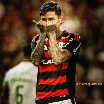 Erick Pulgar  thumbnail