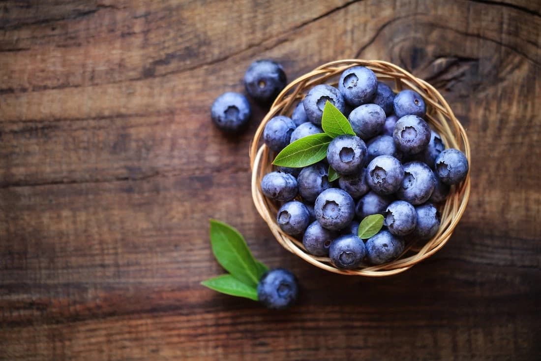 A Mysterious Bowl of Blueberries  thumbnail