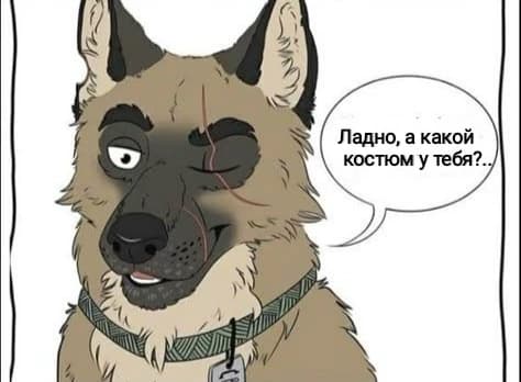 Брут thumbnail