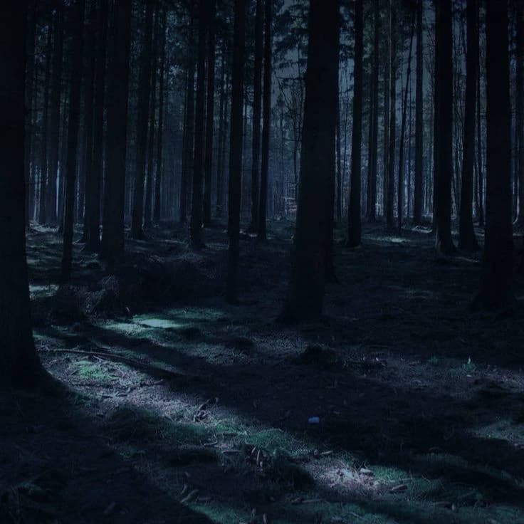Haushara - The forest thumbnail