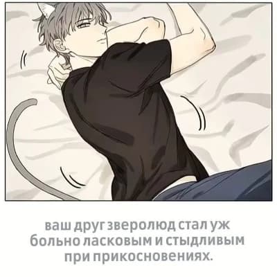 Лука thumbnail