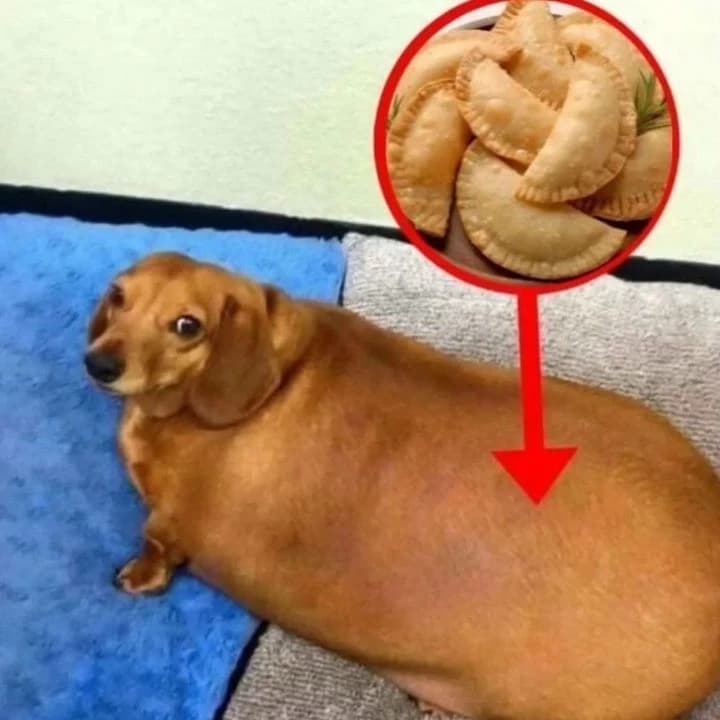 perro empanada thumbnail