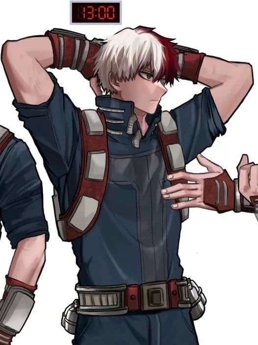 ☆Shoto Todoroki thumbnail